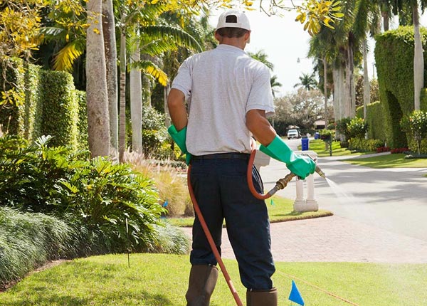 About Mullinville KS Pest Control